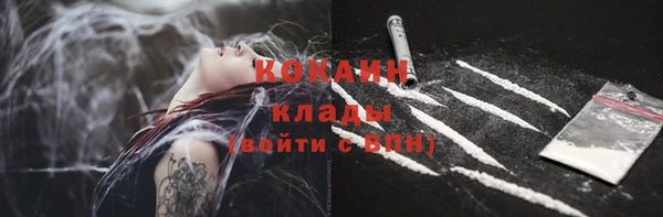 apvp Ельня