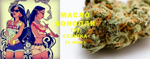 мдпв Елизово