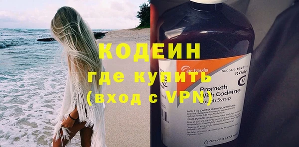 apvp Ельня