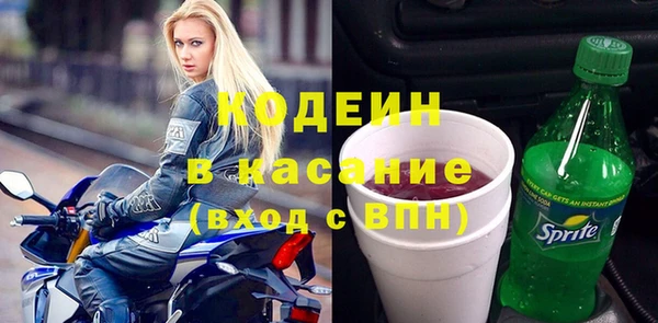 apvp Ельня