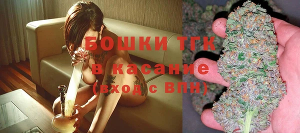 мдпв Елизово