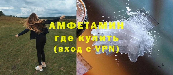 apvp Ельня