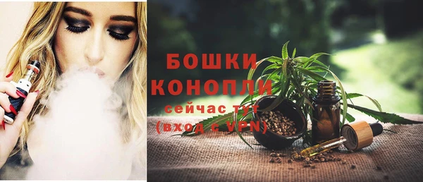 мдпв Елизово