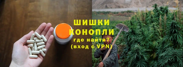 трава Елабуга