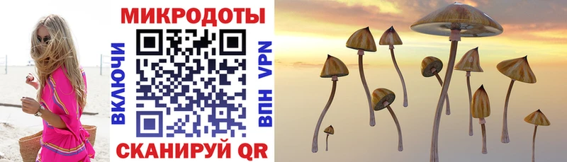 Псилоцибиновые грибы Cubensis  как найти закладки  Красногорск 